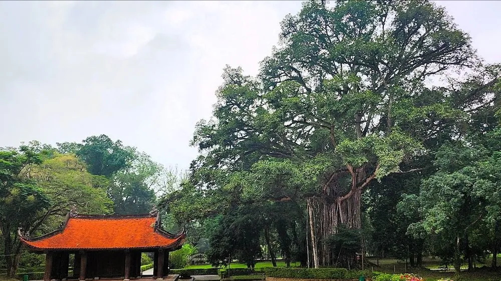 Cố đô 600 năm tuổi, biểu tượng của lòng tự hào dân tộc