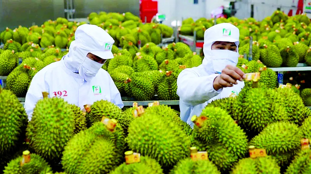 Chuyến thăm của Tổng Bí thư, Chủ tịch nước Trung Quốc Tập Cận Bình đến Việt Nam có ý nghĩa chiến lược