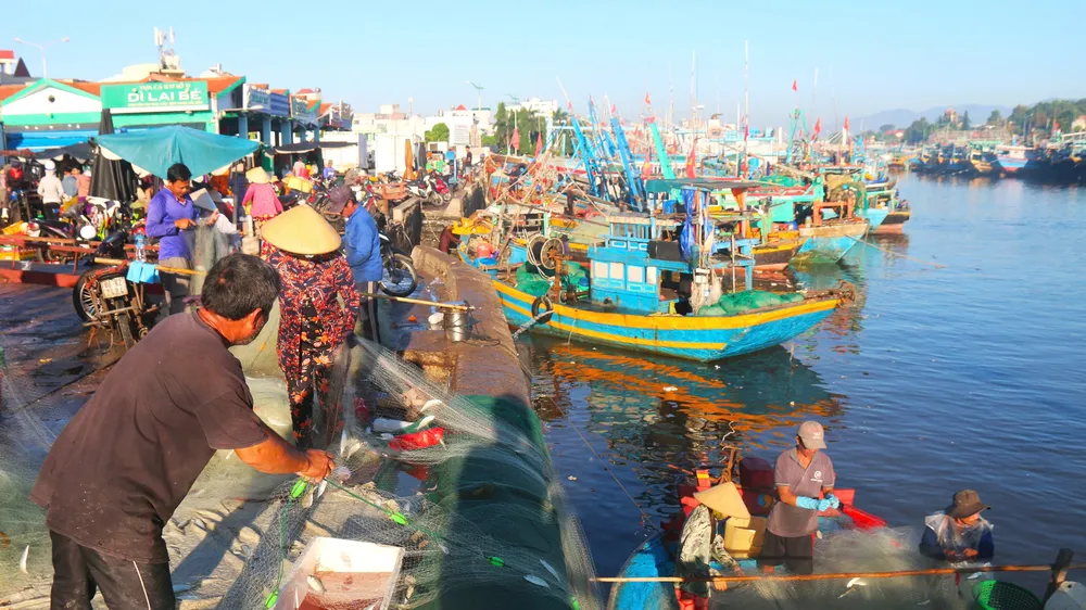 Ngư dân ở Lâm Đồng hiện đại hóa nghề cá: Giảm chi phí, tăng hiệu quả