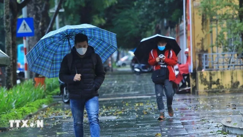 Tại Hà Nội ngày 31-1 có mưa, mưa nhỏ rải rác; đêm có mưa vài nơi, trời chuyển rét, nhiệt độ thấp nhất 13-15 độ C. Ảnh: TTXVN 