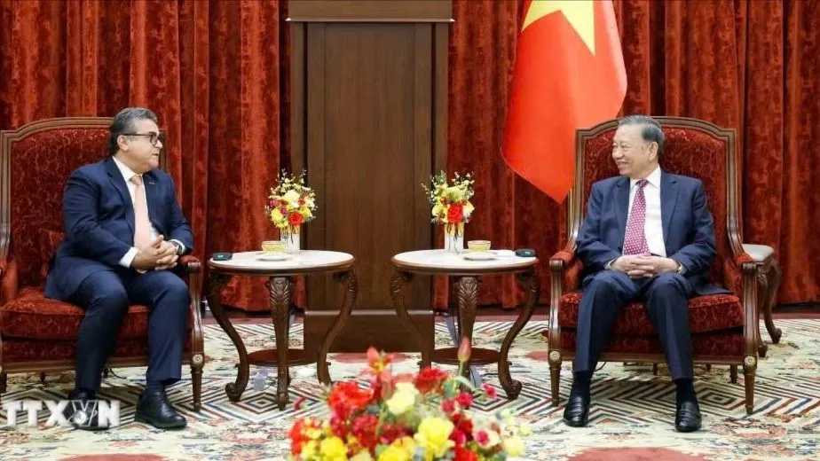 Tổng Bí thư, Chủ tịch nước Tô Lâm đã tiếp Đại sứ Nhà nước Palestine Saadi Salama ngày 25-6. Ảnh: TTXVN.