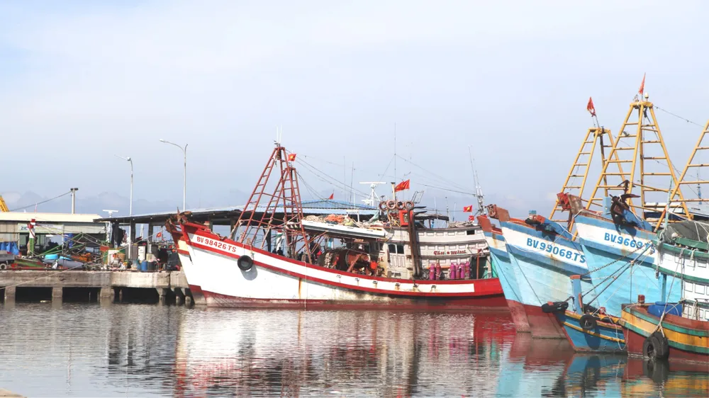 Thứ trưởng Võ Văn Hưng phát biểu tại buổi làm việc. Ảnh: TÍN HUY