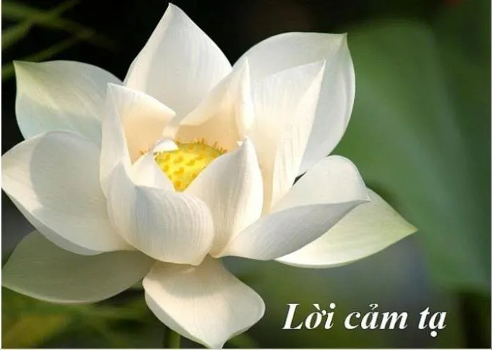 LỜI CẢM TẠ