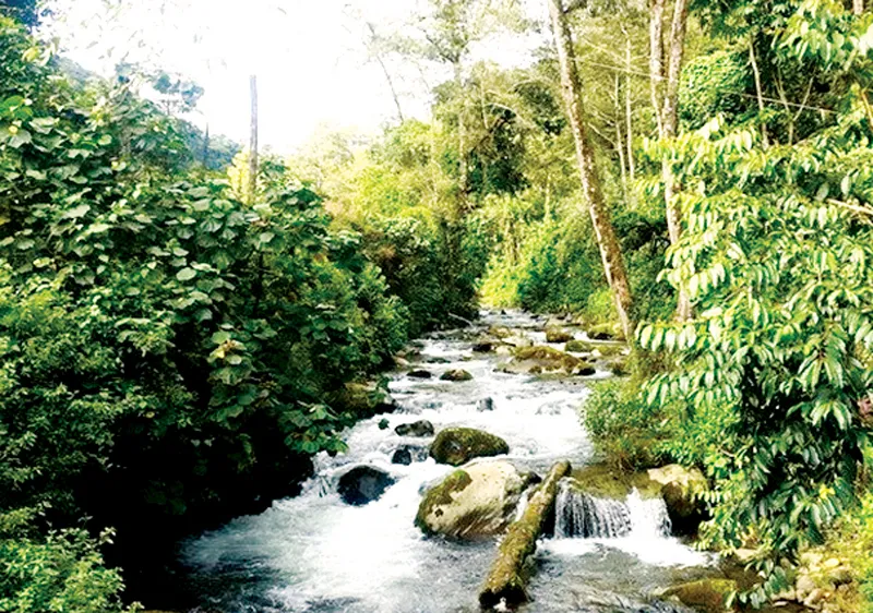 UNESCO công nhận khu dự trữ sinh quyển mới tại Costa Rica