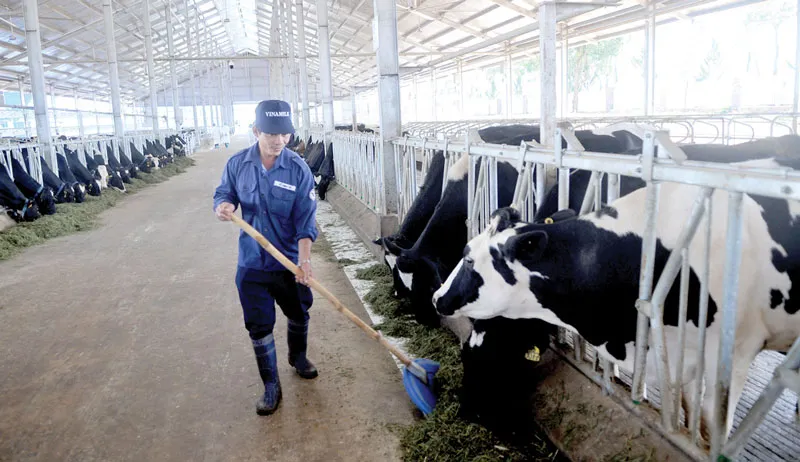 Thực phẩm hữu cơ - ai bảo chứng?