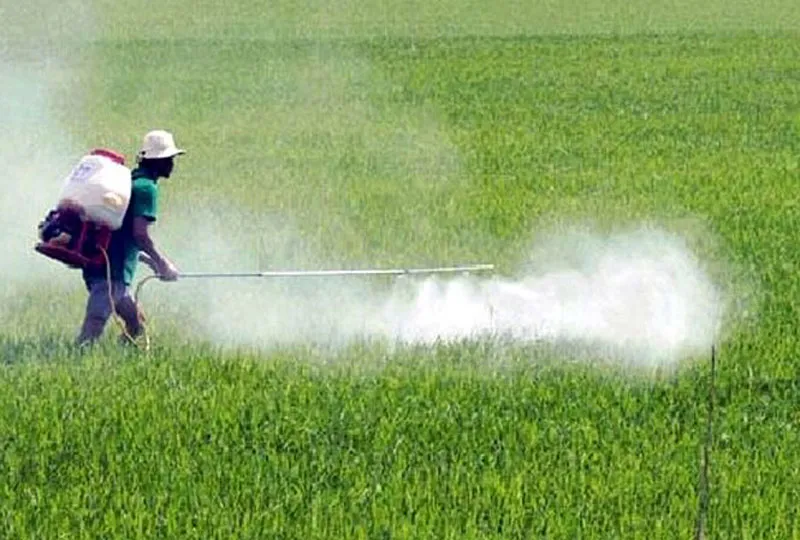 EP điều tra chất Glyphosate trong thuốc diệt cỏ