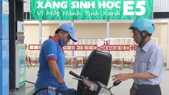 Kiến nghị xử lý đơn vị kinh doanh xăng dầu chưa bán lẻ xăng sinh học E5