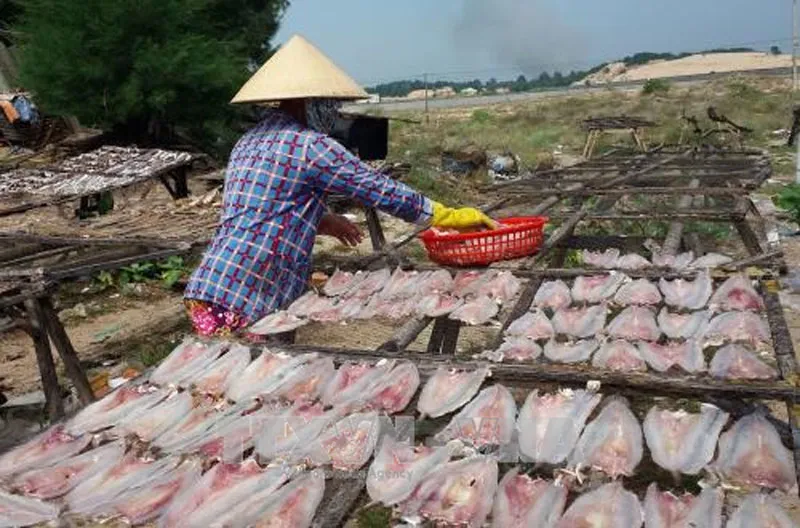 Phạt nặng các cơ sở sử dụng chất cấm trong sản xuất thủy sản khô