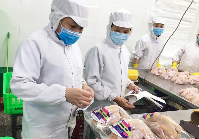 Doanh nghiệp ngành chế biến lương thực - thực phẩm phát triển sản phẩm mới