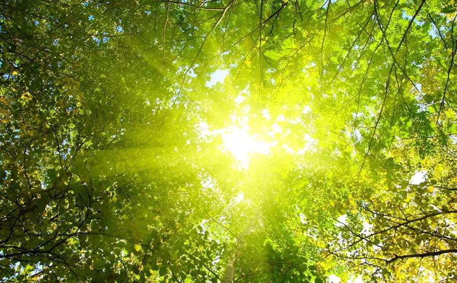 Thời tiết cả nước ngày Giỗ Tổ Hùng Vương