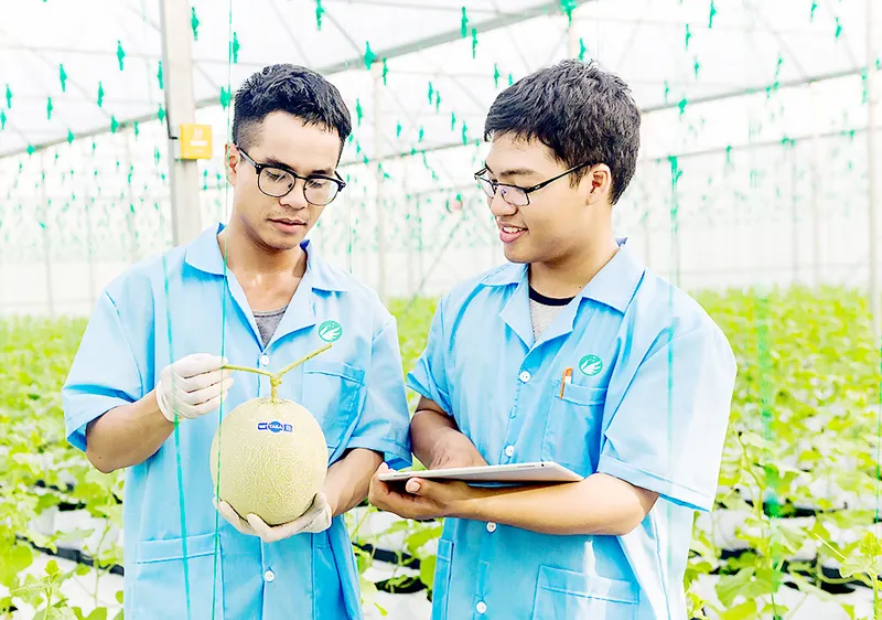 Ứng dụng công nghệ vào sản xuất nông nghiệp