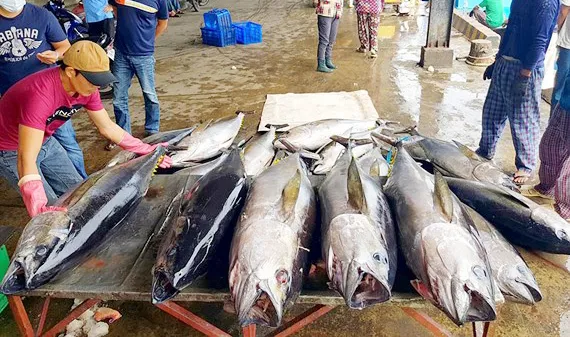 EC ra điều kiện rút “thẻ vàng” cho thủy sản Việt Nam