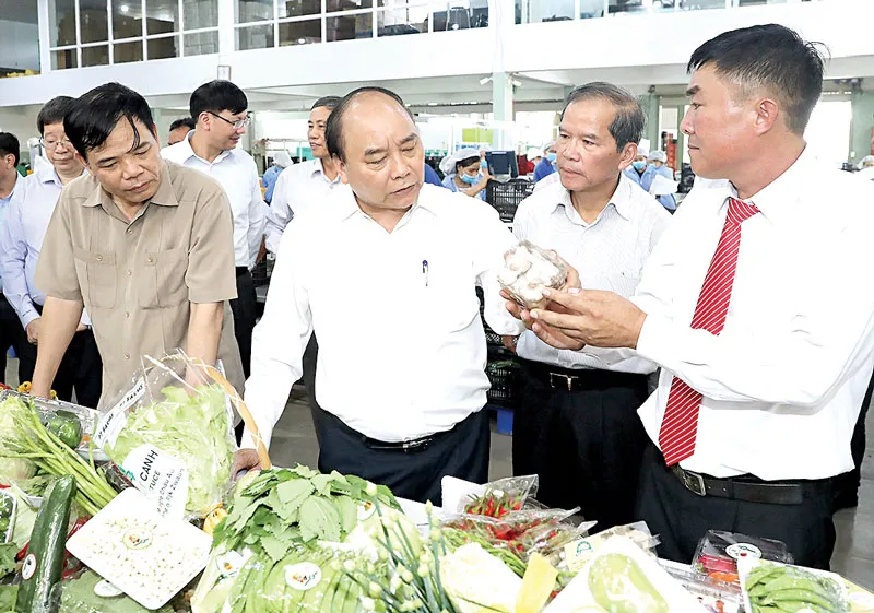 Gỡ vướng mắc, thúc đẩy đầu tư vào nông nghiệp