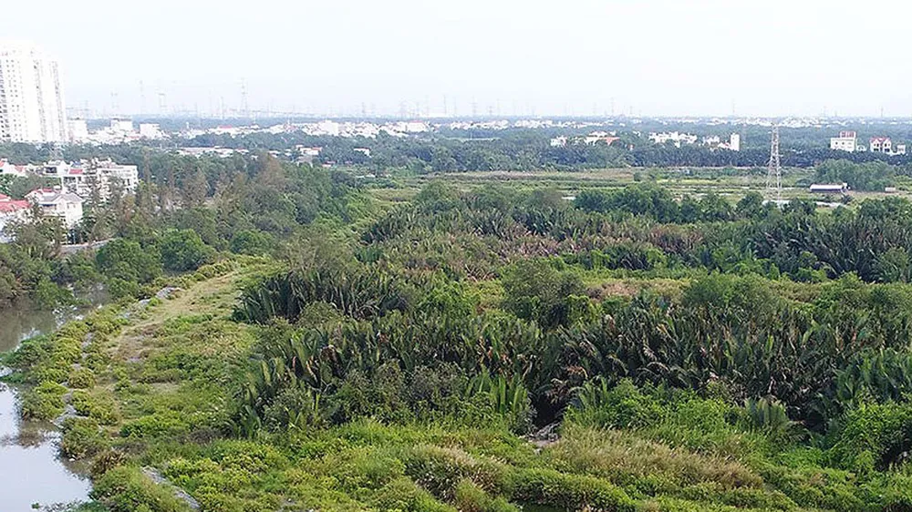 TPHCM xử lý sau thanh tra về đất đai