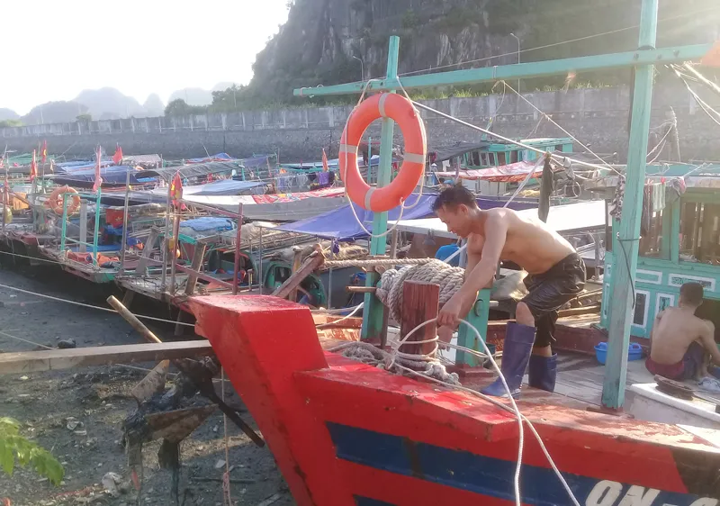 Mangkhut vào biển Đông không còn là siêu bão, nhưng vẫn rất mạnh