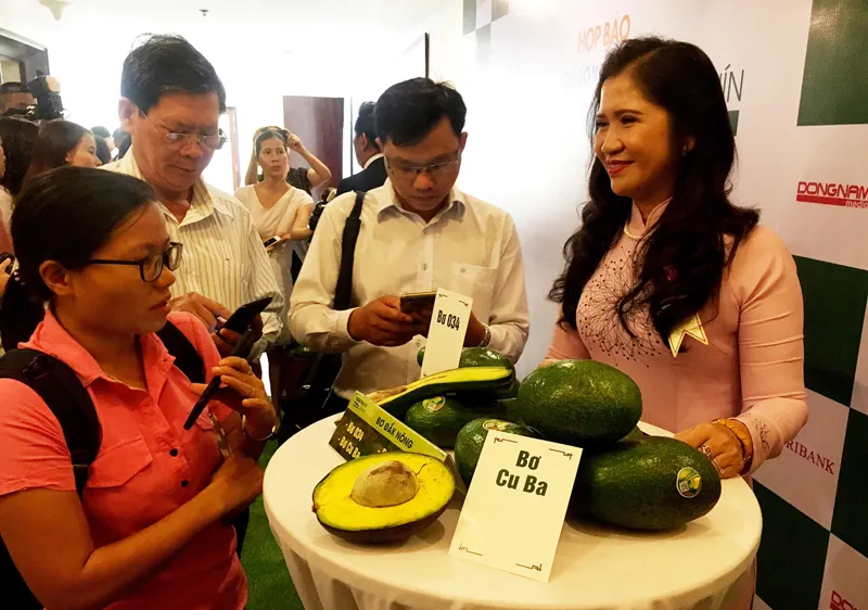 Tỉnh Đắk Nông xúc tiến quảng bá hình ảnh trái bơ đến thị trường trong và ngoài nước
