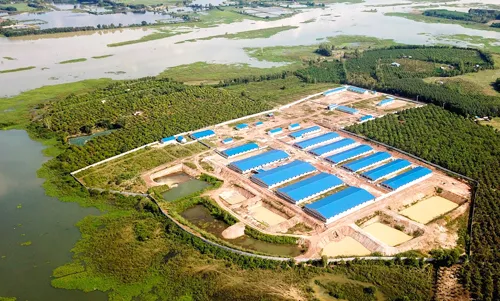 Trang trại heo xây trái phép ở hồ Trị An: Bị buộc tháo dỡ