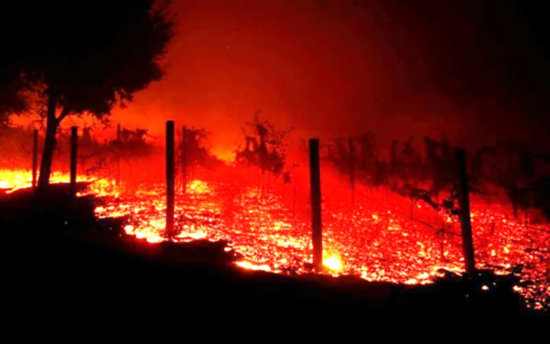 Cháy rừng lịch sử ở California, ít nhất 42 người chết