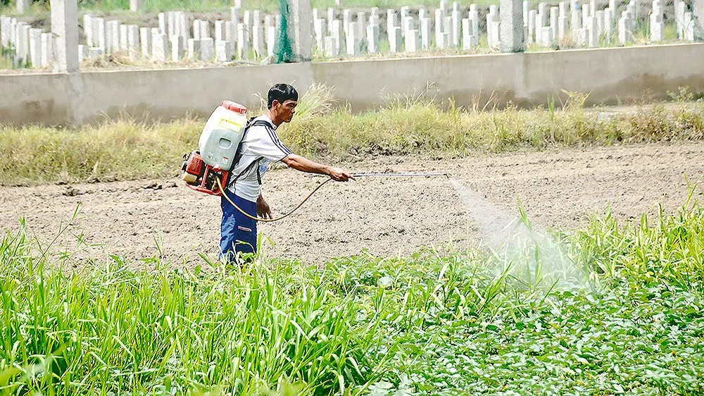 Loại bỏ thêm 2 hoạt chất độc hại
