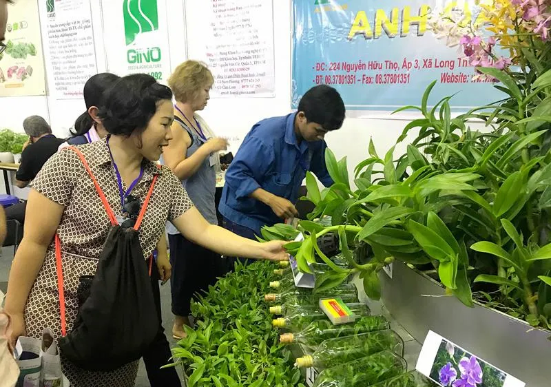 Người tiêu dùng chọn mua hoa kiểng