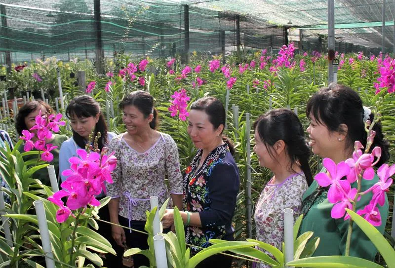 Rực rỡ sắc màu tại Festival Hoa lan TPHCM