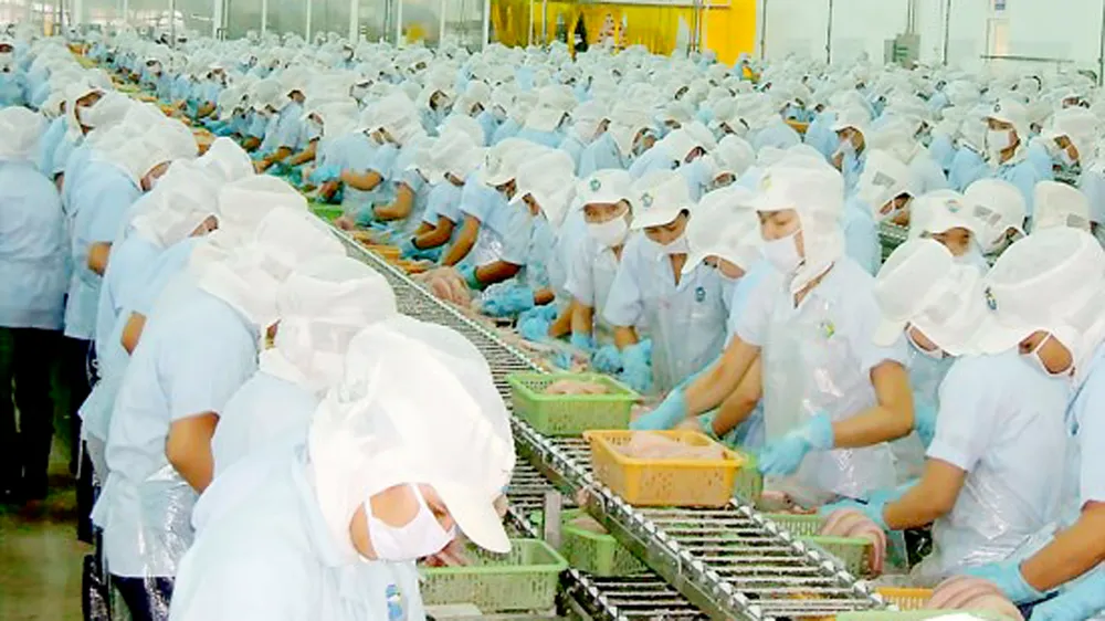 Chế biến xuất khẩu tại một doanh nghiệp thủy sản