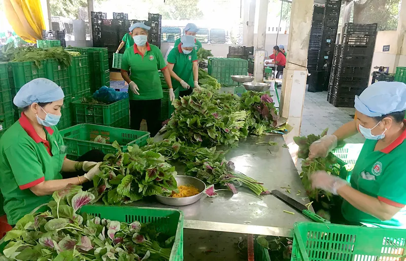 Nông sản sạch vẫn còn “sạn”