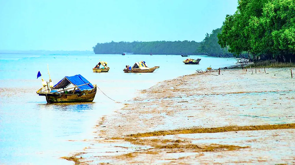 Bãi bồi ven biển ở Cù Lao Dung