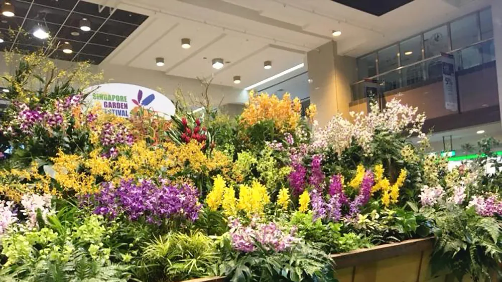 Bồn hoa lớn nhất thế giới