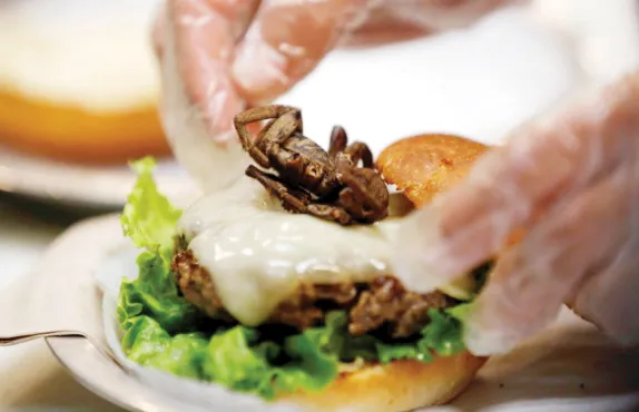 Hamburger nhện