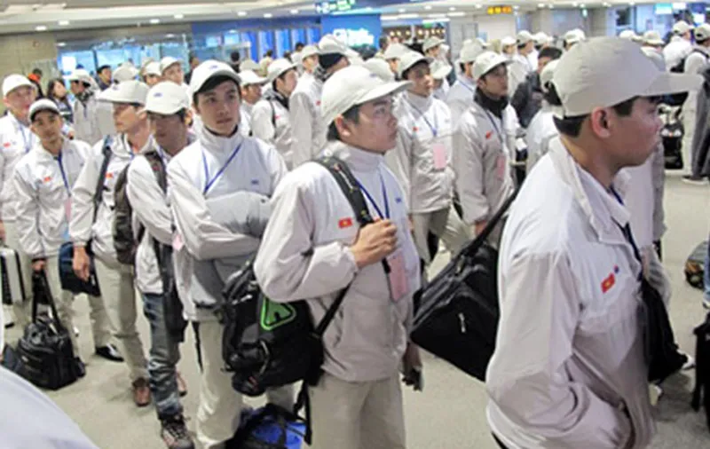 Nhật Bản tiếp nhận thêm lao động nước ngoài