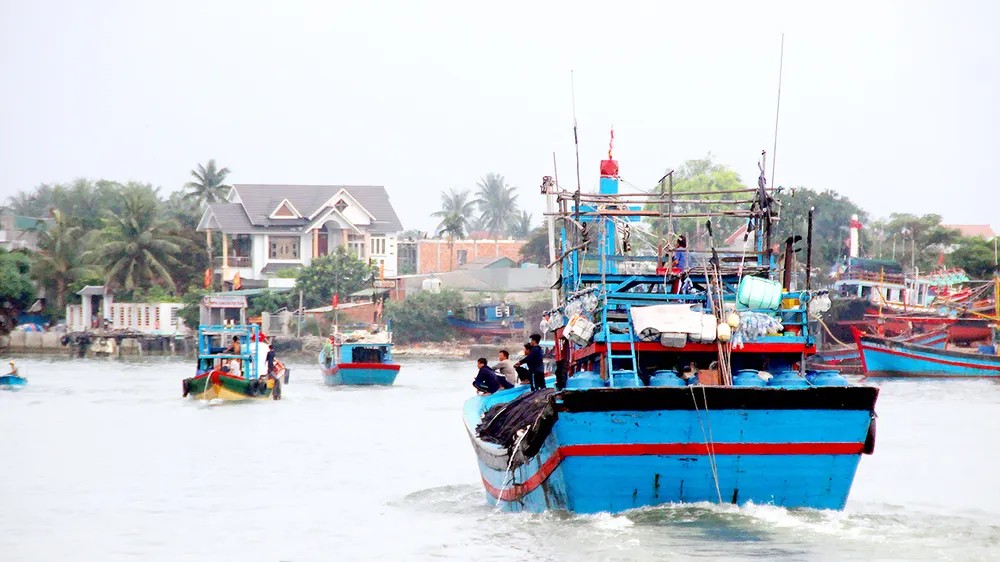 Đội tàu của “cọp biển” Gành Cả ra khơi