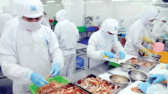 Tăng tốc cải cách