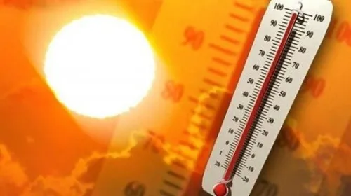 4 năm nóng nhất trong lịch sử