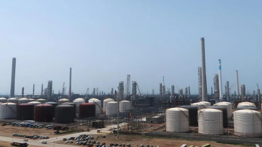 Nhiên liệu sinh học cho máy bay