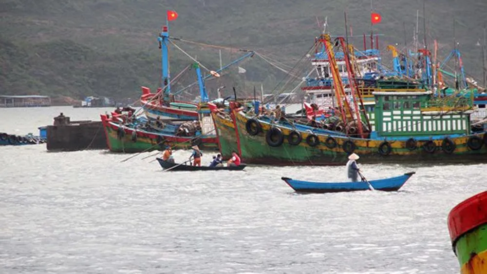 Mạnh tay với đánh bắt trái phép