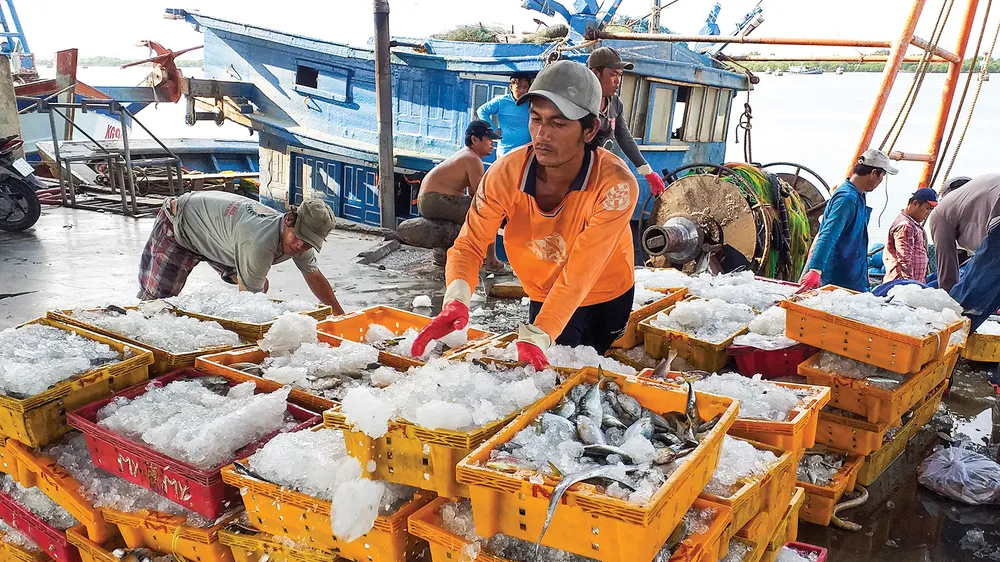 Thủy sản tại cảng Cát Lở (phường 11, TP Vũng Tàu) ​