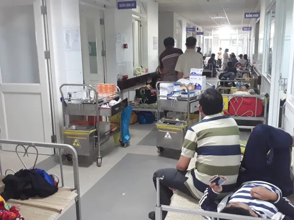 TPHCM: Dịch bệnh có xu hướng giảm