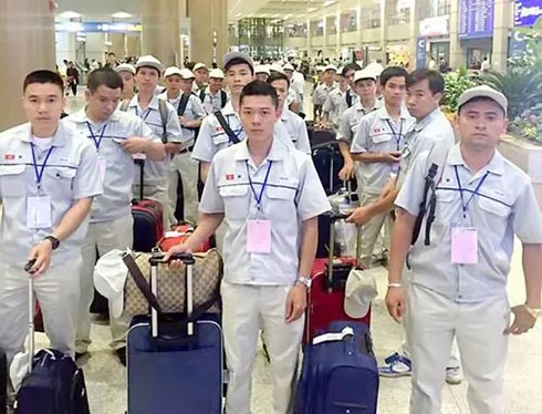 Lao động có kỹ năng đặc định Việt Nam đứng đầu tại Nhật Bản