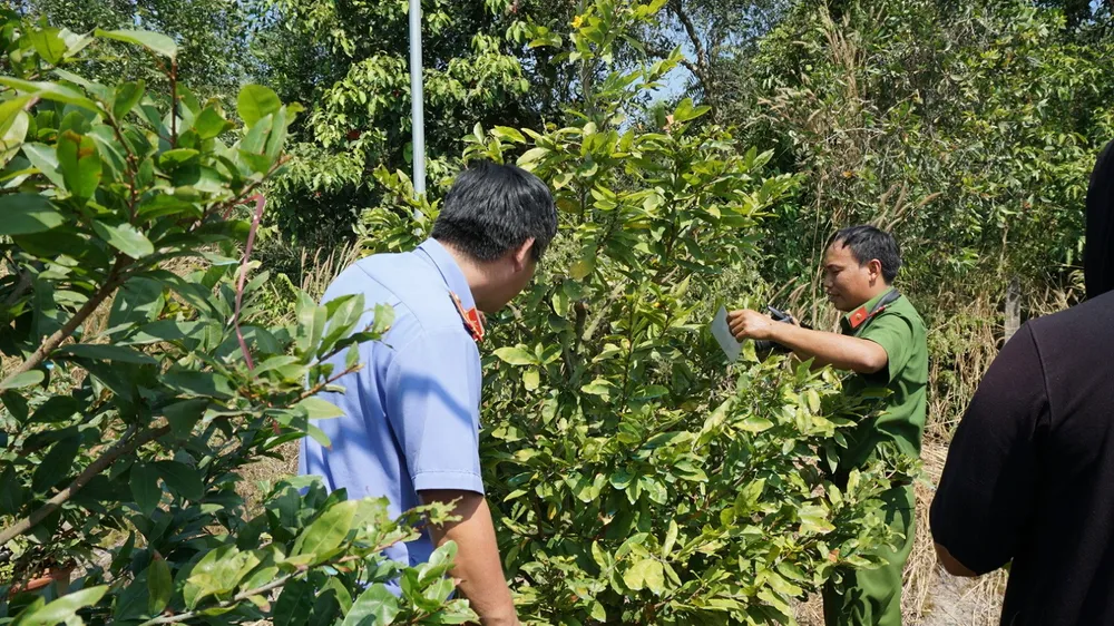 Công an TX.Bến Cát kết hợp với chính quyền địa phương điều tra làm rõ vụ việc. Ảnh: Báo Bình Dương