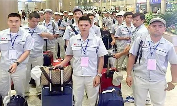 Người Việt chiếm 55% lao động nước ngoài tại Nhật Bản
