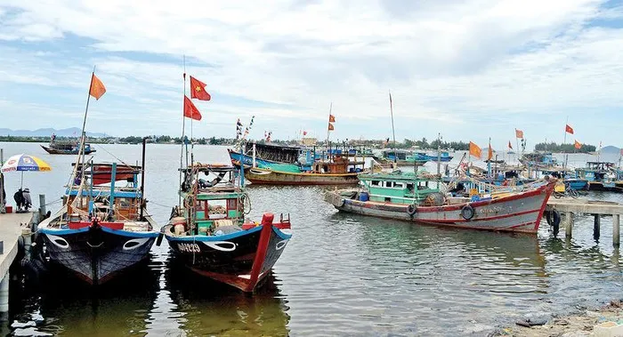 Đà Nẵng không có tàu cá vi phạm vùng biển nước ngoài