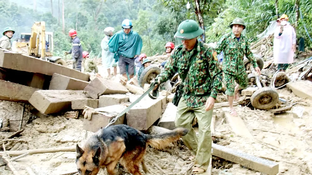 Bộ đội Biên phòng sử dụng chó nghiệp vụ tìm kiếm nạn nhân ở hiện trường sạt lở thôn 1, xã Trà Leng, huyện Nam Trà My, tỉnh Quảng Nam Ảnh: NGUYỄN CƯỜNG