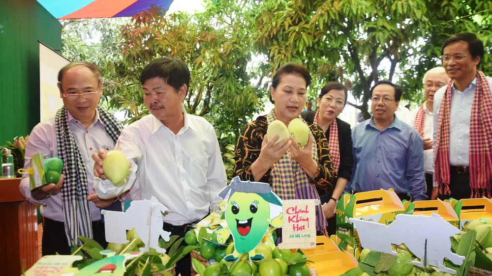 Sáng tạo, phát triển bền vững kinh tế tập thể
