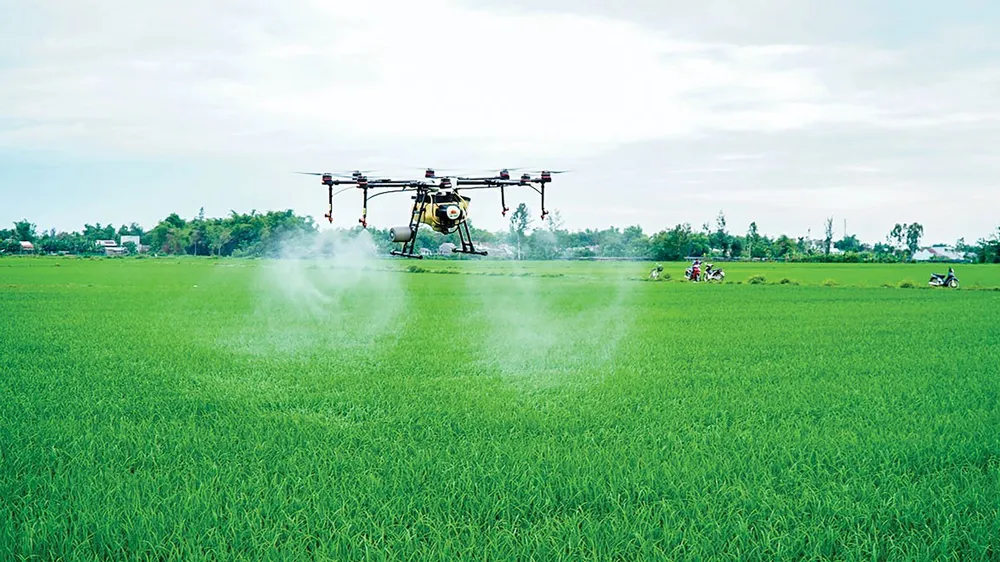 1/3 đất canh tác trên thế giới có nguy cơ ô nhiễm thuốc trừ sâu
