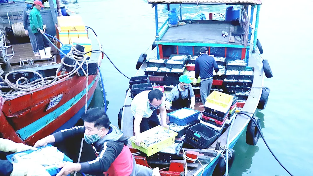 Lao động đi biển tại âu thuyền Cửa Sót, huyện Lộc Hà (Hà Tĩnh). Ảnh: DƯƠNG QUANG