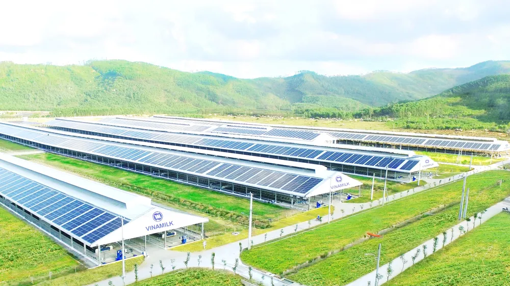 Nhiều doanh nghiệp xoay trở tìm nguyên liệu