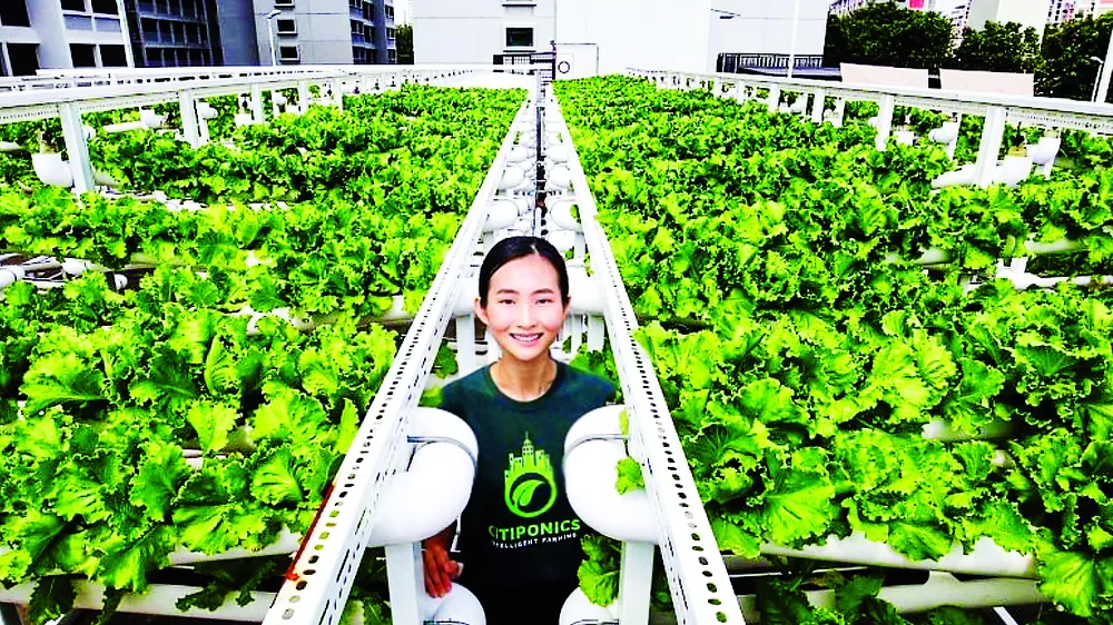 Một nông trại trên mái tòa nhà để xe ở Singapore