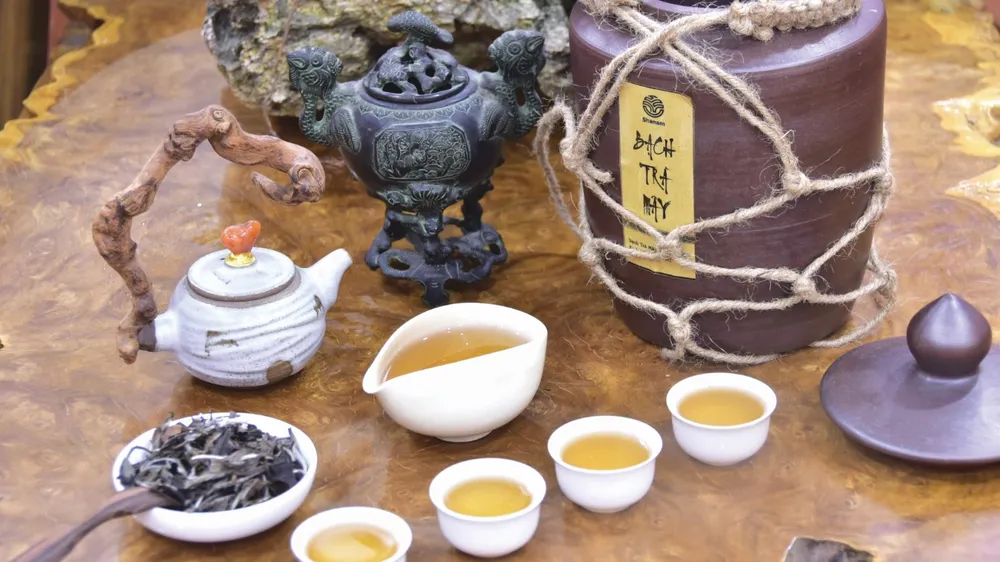 Tản mạn chuyện mây trà ngày xuân