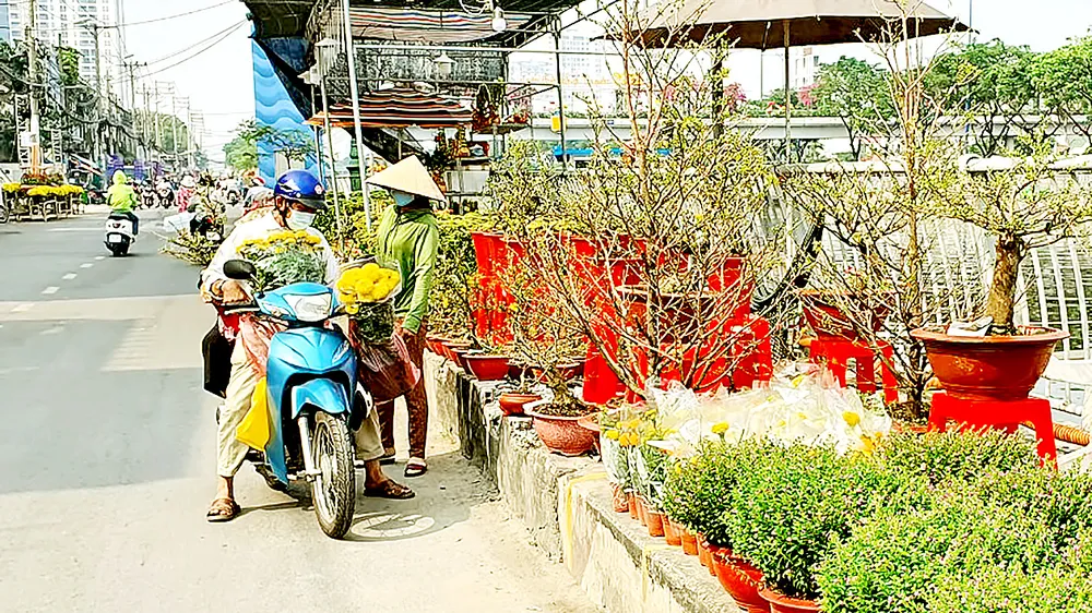Đường phố ngập tràn sắc màu ngày tết